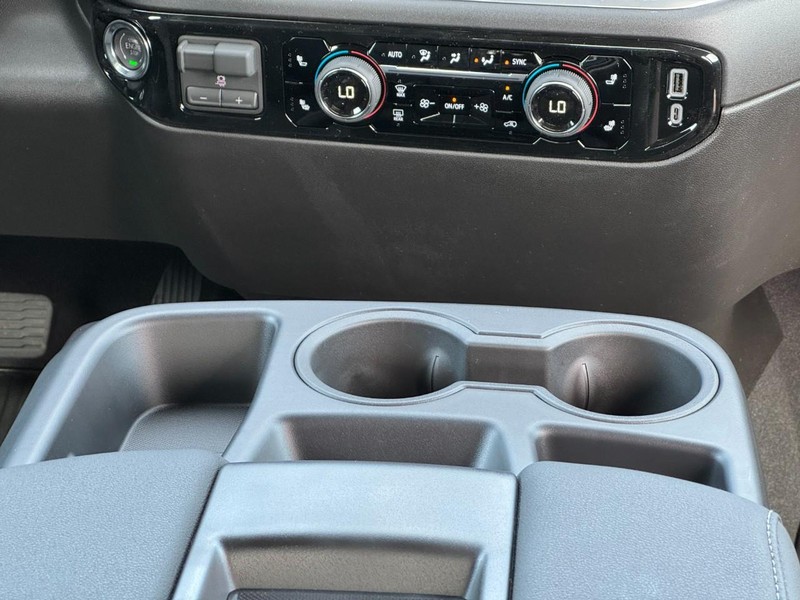 Chevrolet Silverado 1500 Vehicle Image 09