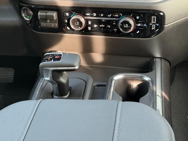 Chevrolet Silverado 1500 Vehicle Image 09