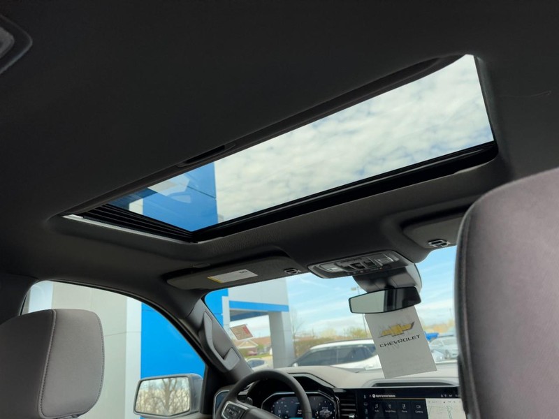 Chevrolet Silverado 1500 Vehicle Image 06