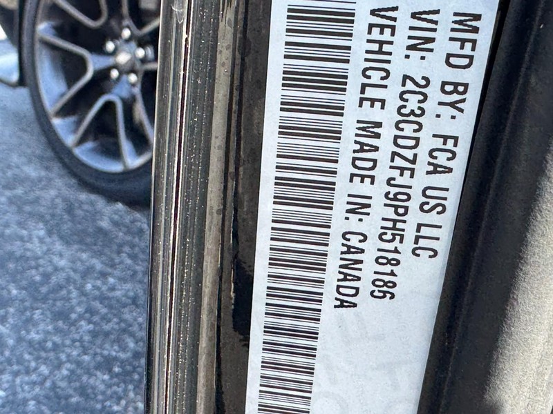 Dodge Challenger Vehicle Image 28