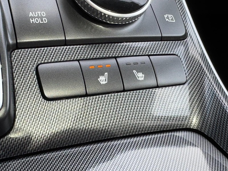 Hyundai Santa Fe Vehicle Image 19