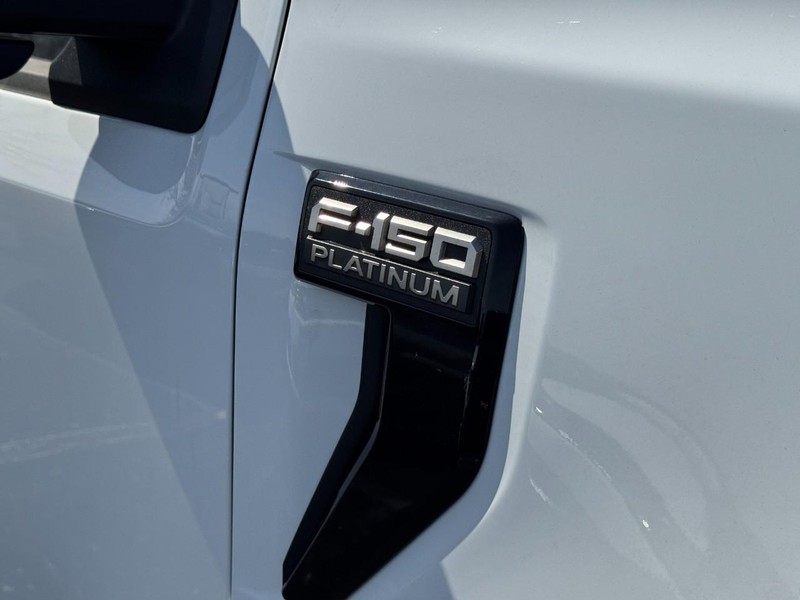 Ford F-150 Vehicle Image 02