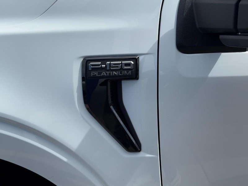 Ford F-150 Vehicle Image 09