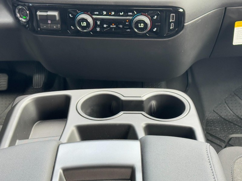 Chevrolet Silverado 1500 Vehicle Image 09