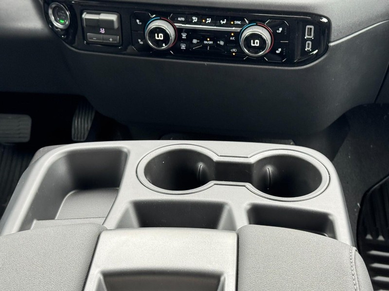 Chevrolet Silverado 1500 Vehicle Image 09