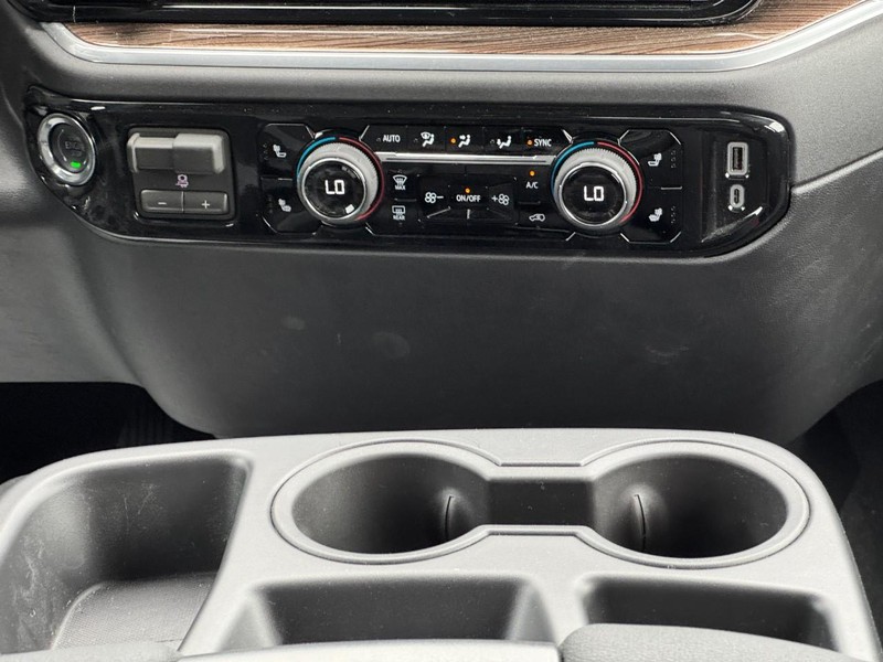 Chevrolet Silverado 1500 Vehicle Image 09