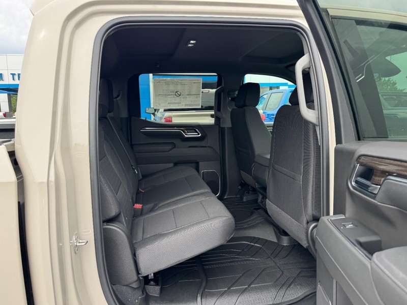 Chevrolet Silverado 1500 Vehicle Image 05