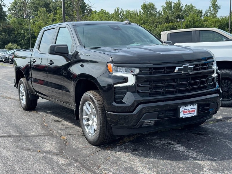 Chevrolet Silverado 1500 Vehicle Image 02