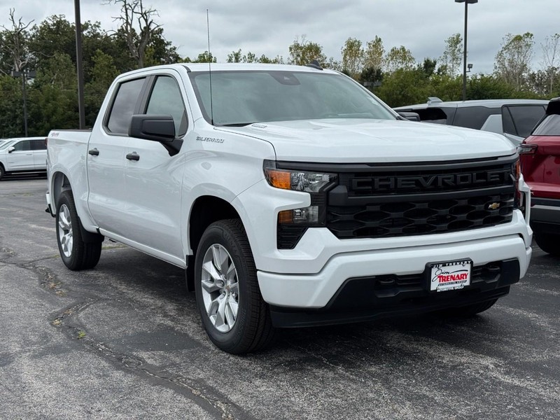 Chevrolet Silverado 1500 Vehicle Image 02