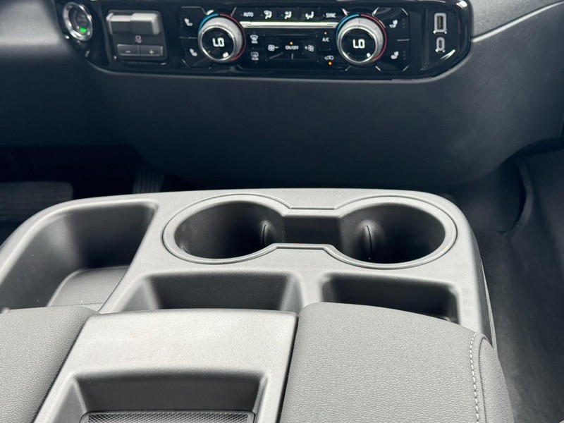 Chevrolet Silverado 1500 Vehicle Image 09