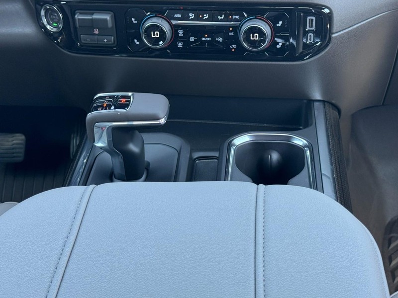 Chevrolet Silverado 1500 Vehicle Image 09