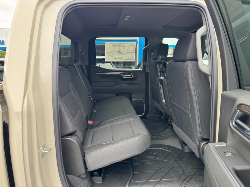Chevrolet Silverado 1500 Vehicle Image 05