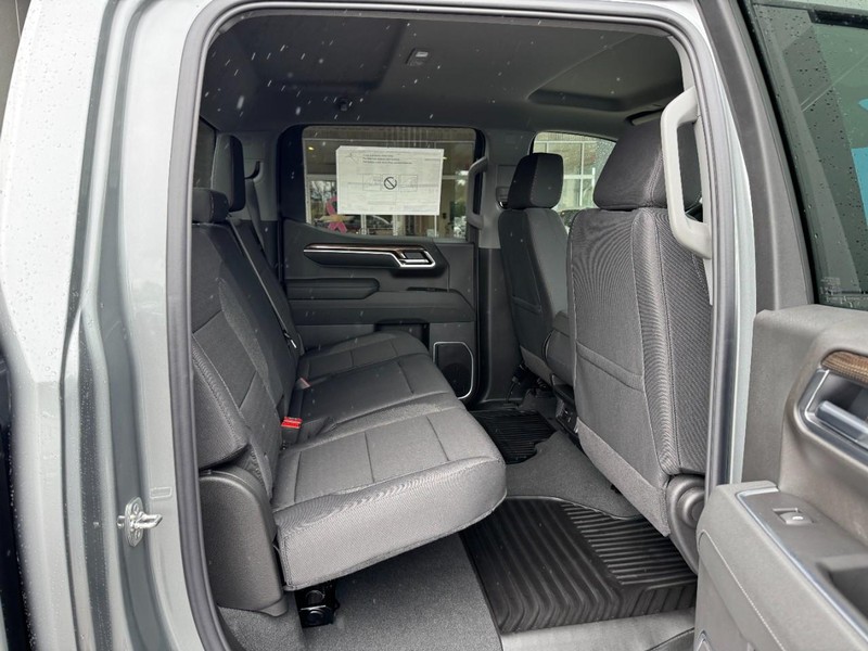Chevrolet Silverado 1500 Vehicle Image 05