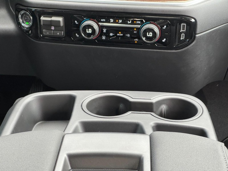 Chevrolet Silverado 1500 Vehicle Image 09