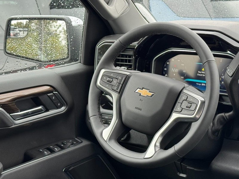 Chevrolet Silverado 1500 Vehicle Image 07