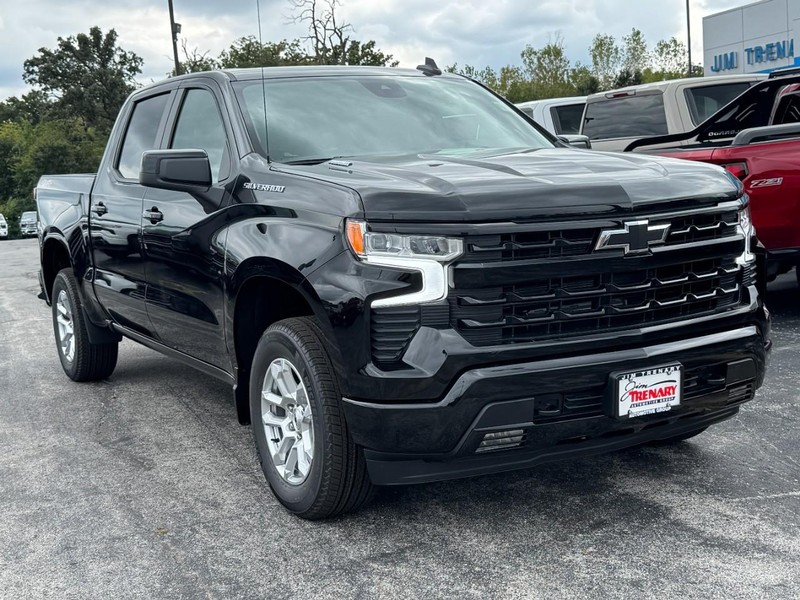 Chevrolet Silverado 1500 Vehicle Image 02