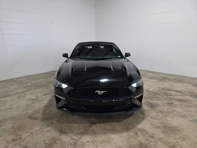 Ford Mustang Vehicle Image 02