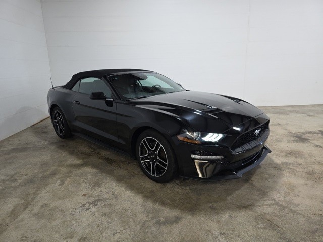 Ford Mustang Vehicle Image 03