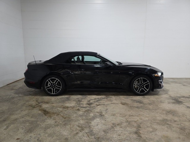 Ford Mustang Vehicle Image 05