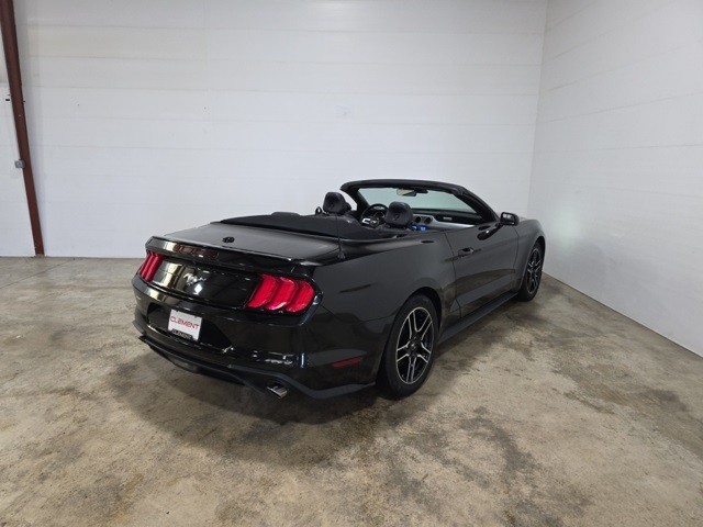 Ford Mustang Vehicle Image 06