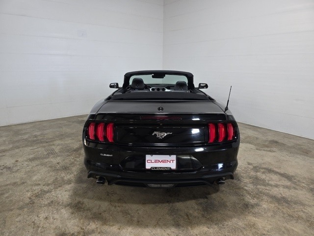 Ford Mustang Vehicle Image 07