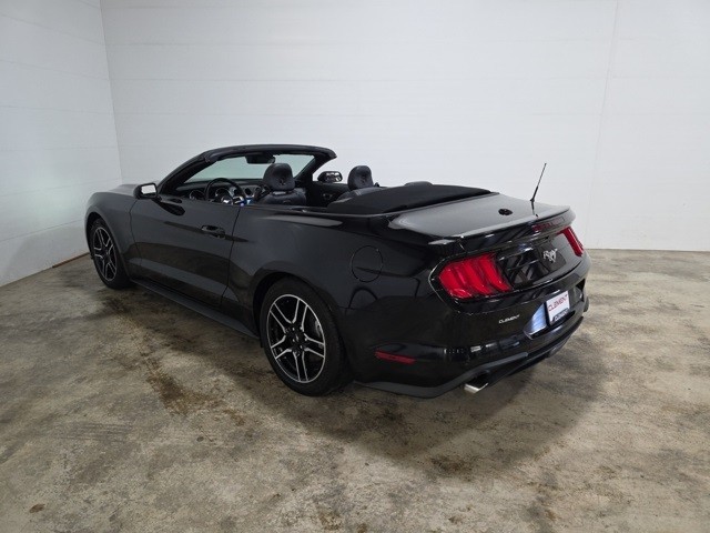 Ford Mustang Vehicle Image 08