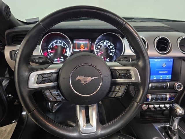 Ford Mustang Vehicle Image 10