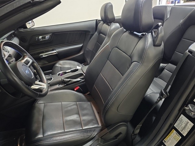 Ford Mustang Vehicle Image 20