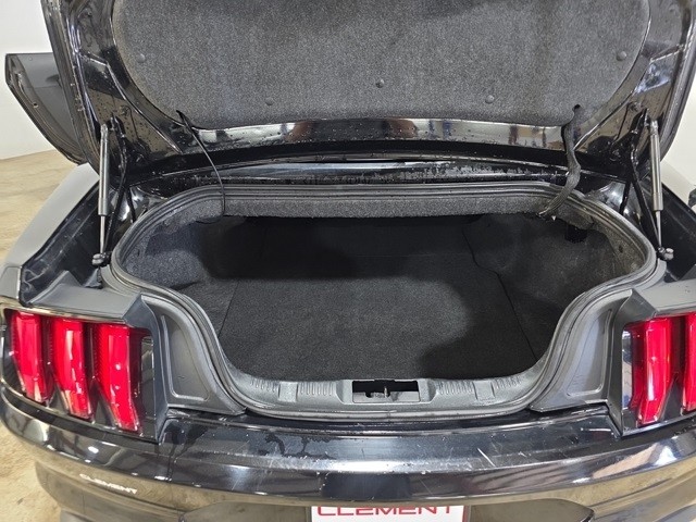 Ford Mustang Vehicle Image 22