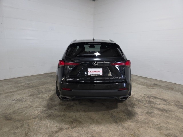 Lexus NX Vehicle Image 07