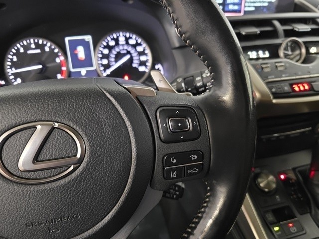 Lexus NX Vehicle Image 11