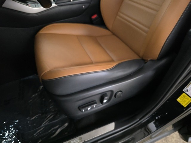 Lexus NX Vehicle Image 21