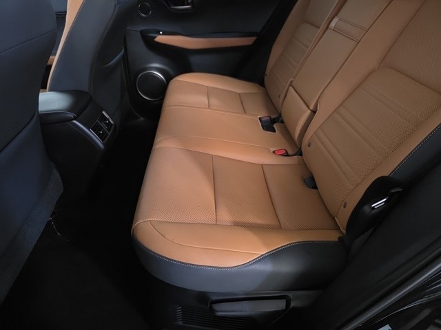 Lexus NX Vehicle Image 24