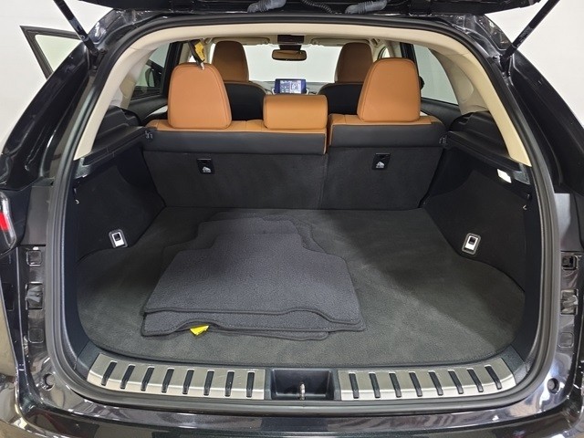 Lexus NX Vehicle Image 27
