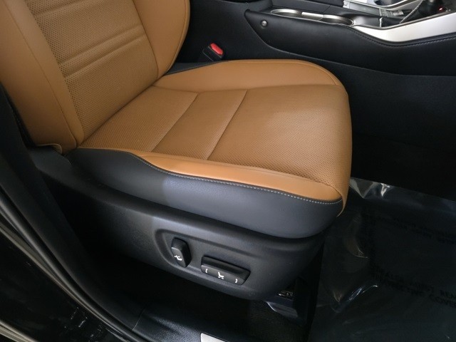 Lexus NX Vehicle Image 28