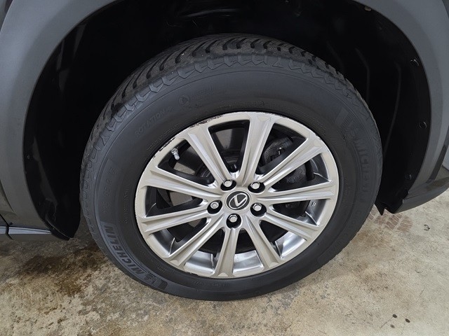 Lexus NX Vehicle Image 31