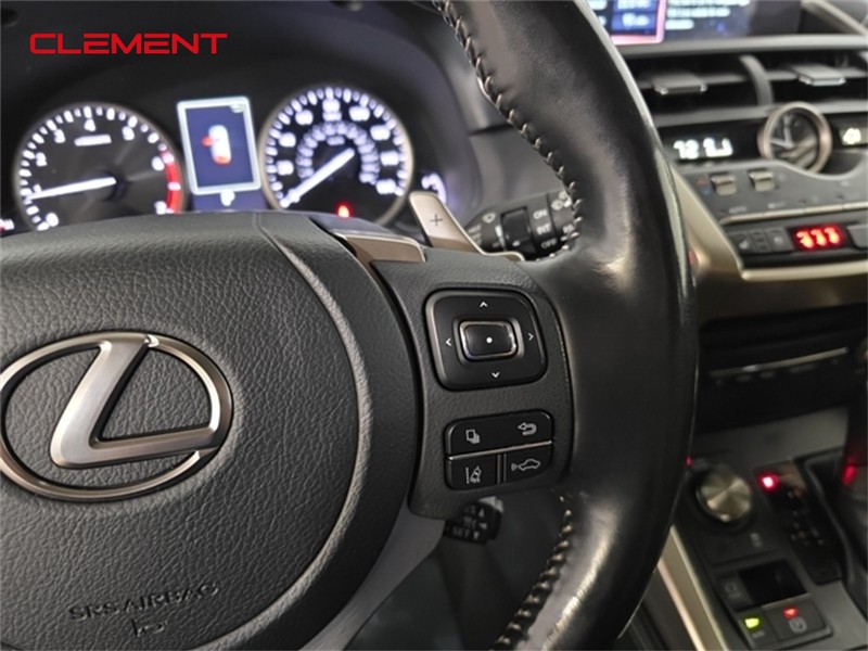Lexus NX Vehicle Image 11
