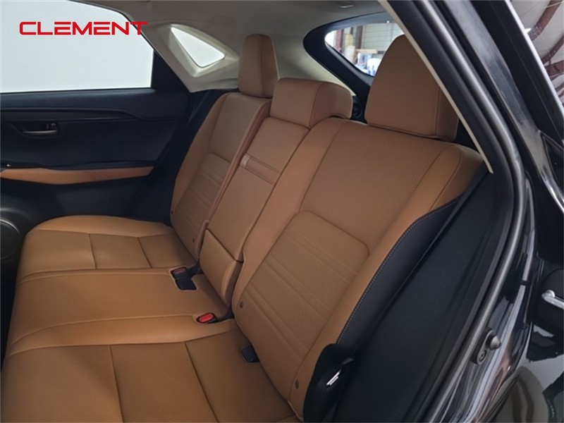 Lexus NX Vehicle Image 25