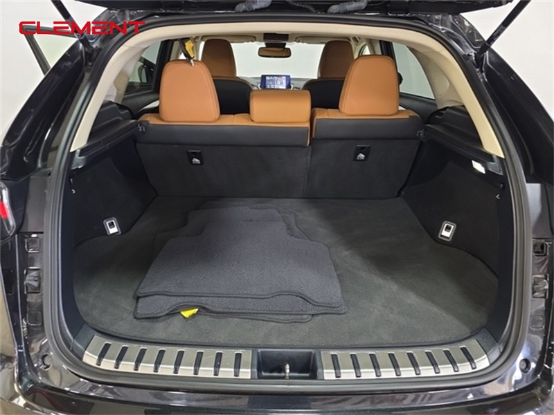 Lexus NX Vehicle Image 27