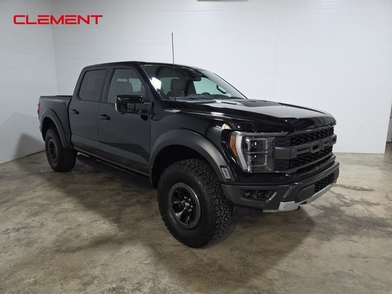 Ford F-150 Vehicle Image 03