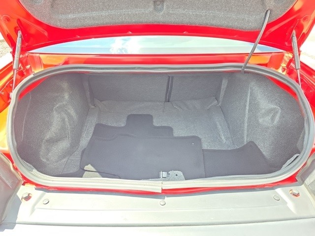 Dodge Challenger Vehicle Image 09
