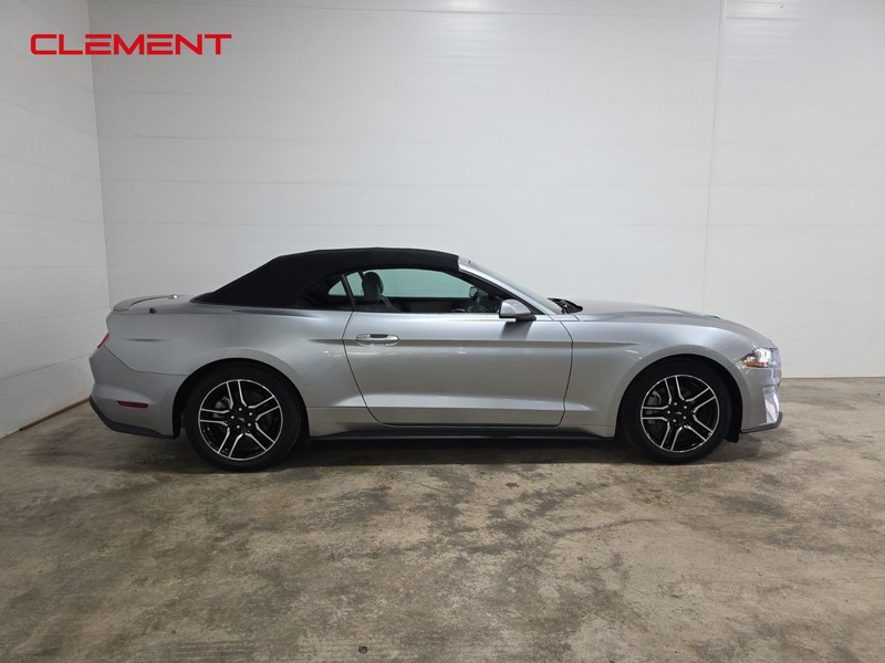 Ford Mustang Vehicle Image 05