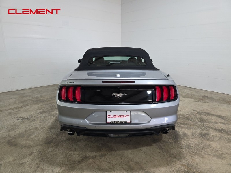 Ford Mustang Vehicle Image 08