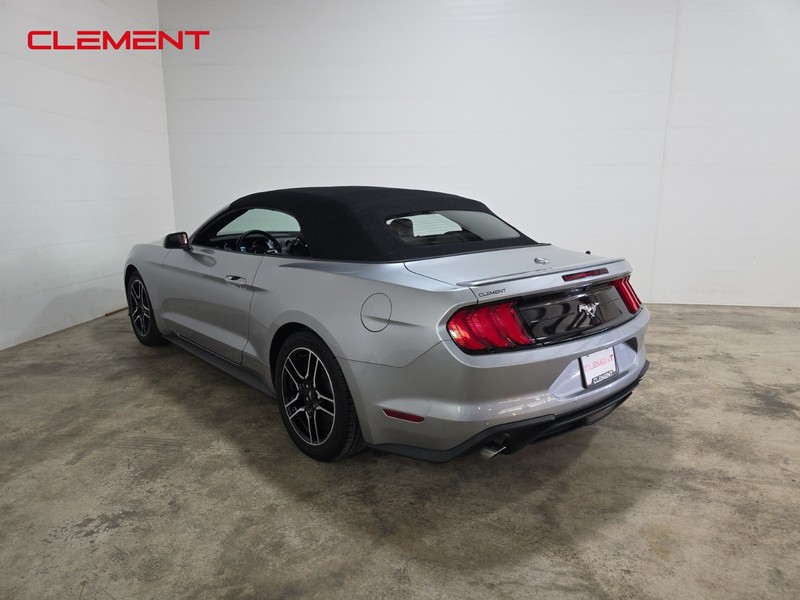 Ford Mustang Vehicle Image 09