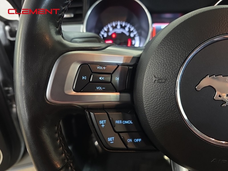 Ford Mustang Vehicle Image 11