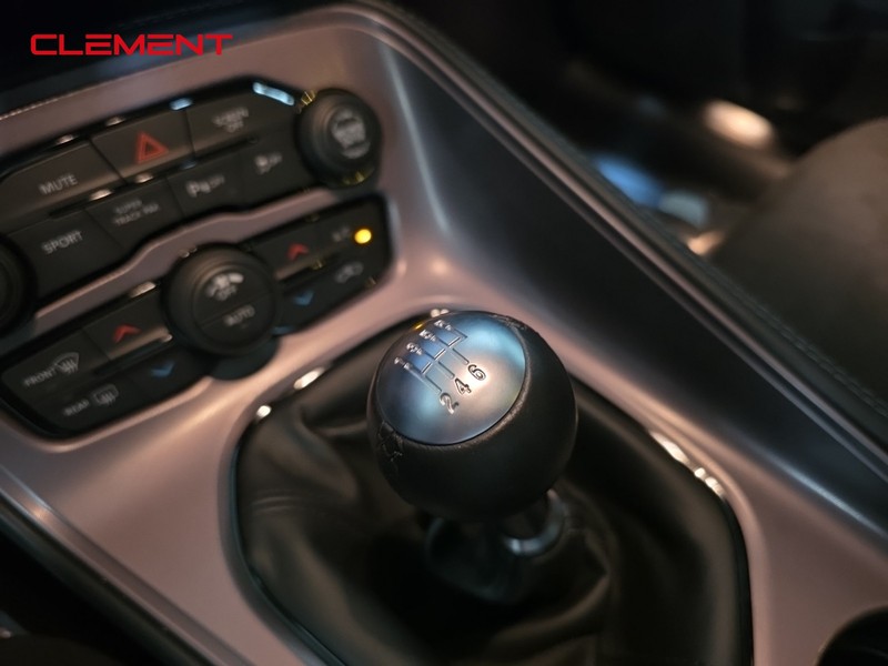 Dodge Challenger Vehicle Image 21