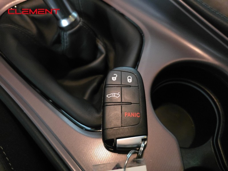 Dodge Challenger Vehicle Image 22