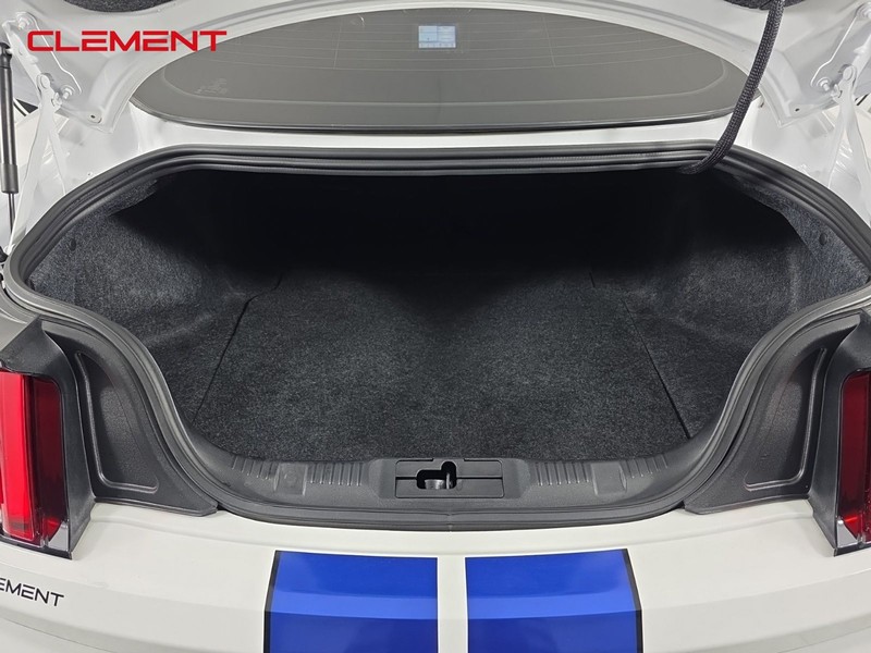 Ford Mustang Vehicle Image 09