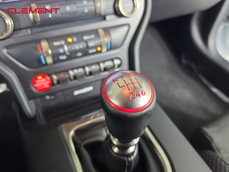 Ford Mustang Vehicle Image 21