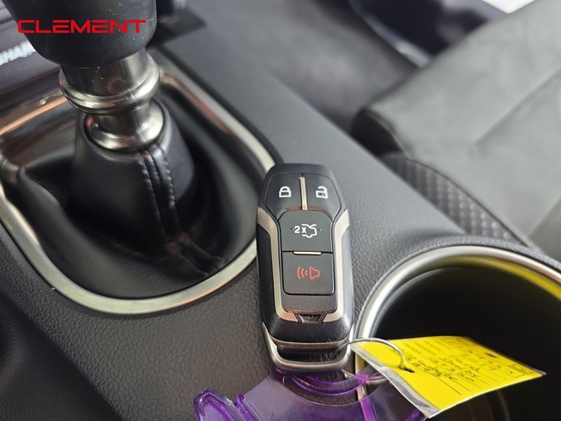 Ford Mustang Vehicle Image 22